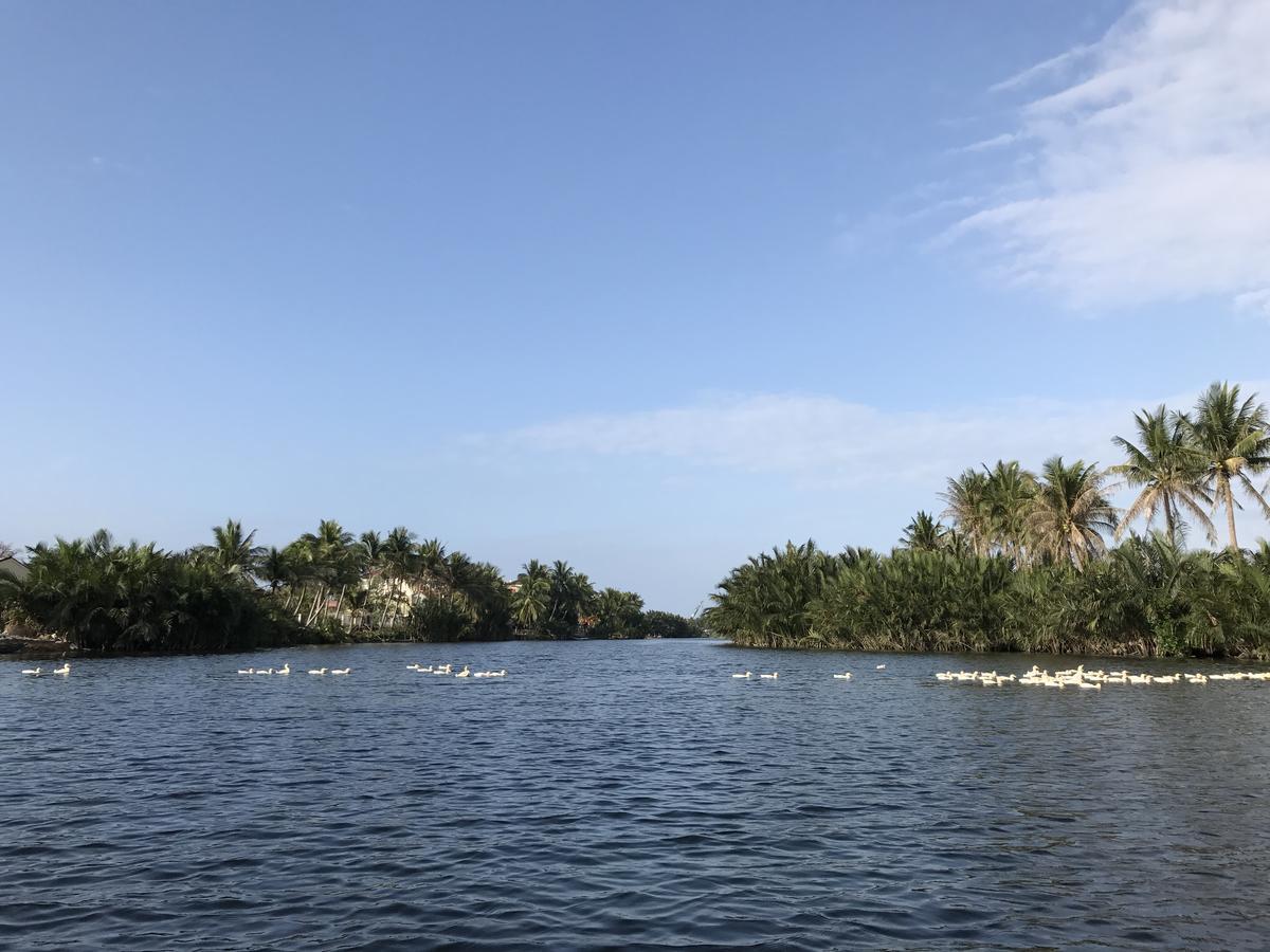 河浪别墅 会安 外观 照片